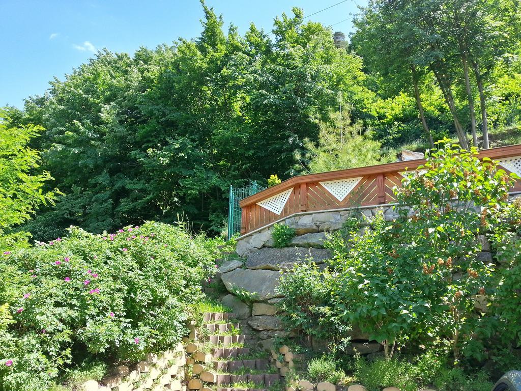 Gastehaus Zur Schonen Aussicht Bed and Breakfast Spitz an der Donau Eksteriør billede